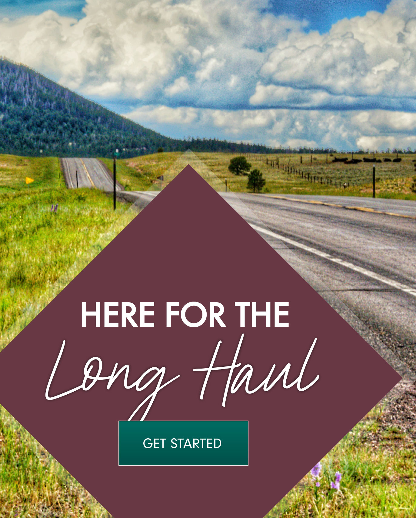 Here for the Long Haul with Get Started button over image of road in Wyoming